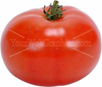 photo - tomato-jpg